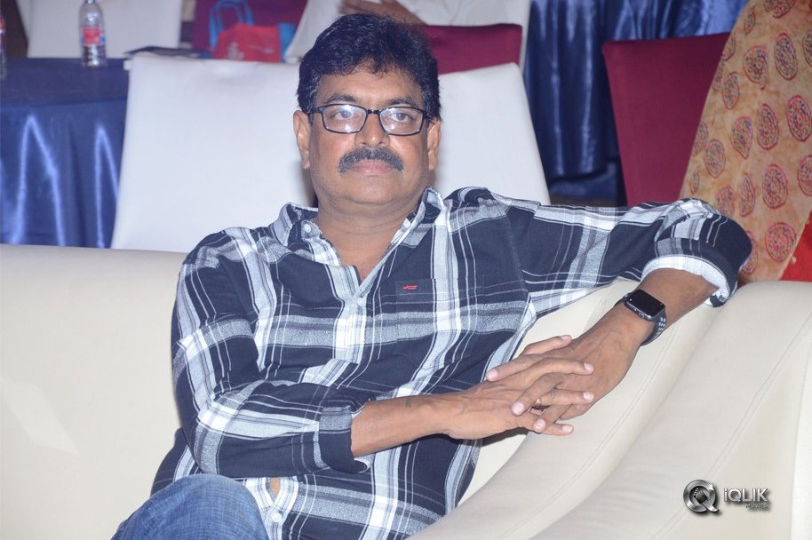 Ammammagarillu-Movie-Successmeet